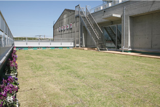ビル屋上庭園