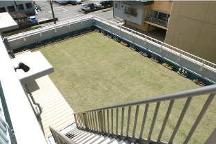 ビル屋上庭園